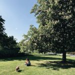 Kielen esteet ja flirttailu yli kielirajojen