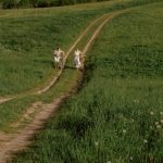 7 merkkiä siitä että verkkotreffikumppani on aidosti kiinnostunut