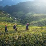 Hienovarainen viehätysvoima avain menestykseen ihmissuhteissa